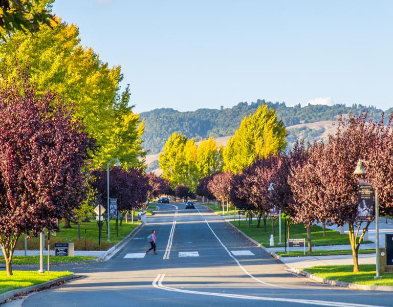 GMC Road